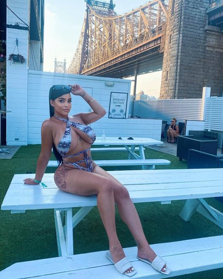 Vanessa Ann Wrigley 完璧なスター 写真