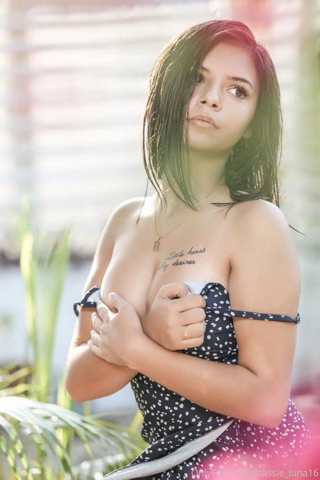 Cassie Luna 完璧な女優 写真