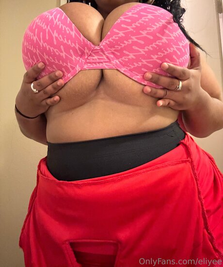 Eliyee アートスター 画像