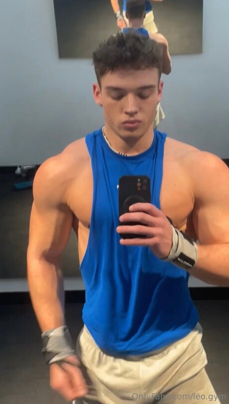 Leo Gym アートスター 写真