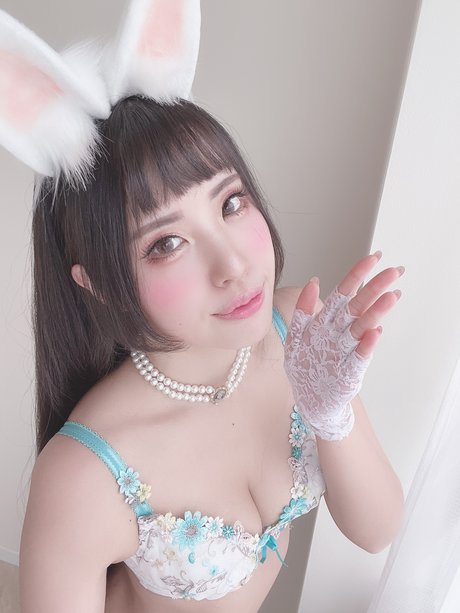 Ririkana 高品質のスター アーカイブ