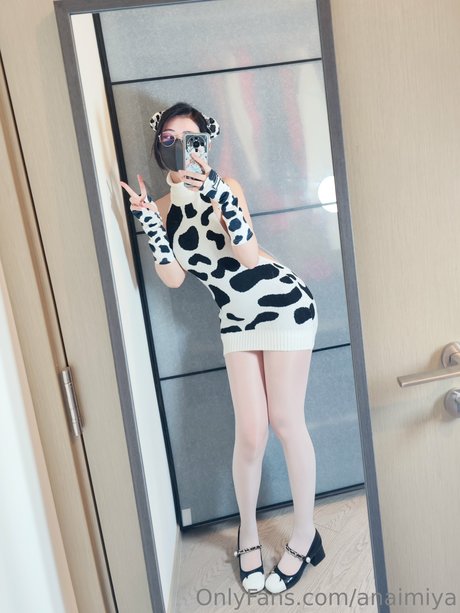 Anaimiya HDモデル 写真