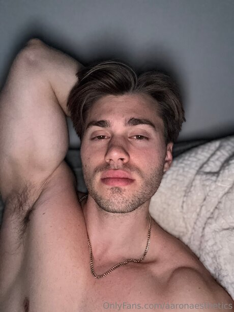 Aaronaesthetics ポルノスター 素敵 写真