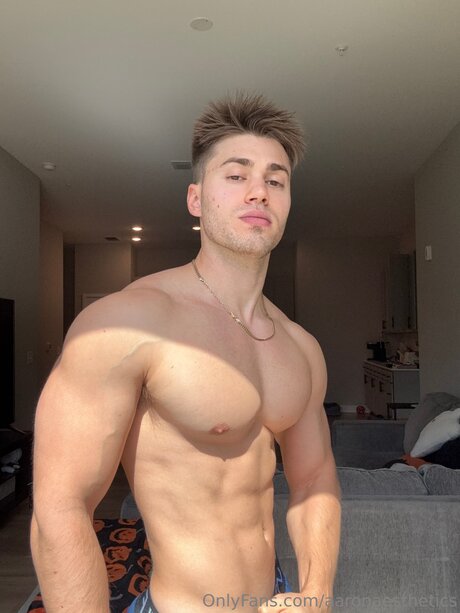 Aaronaesthetics 限定スター 写真