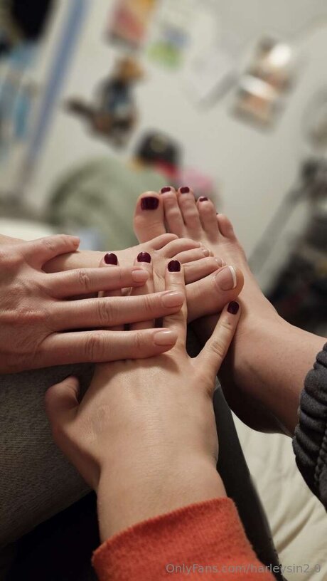 Harleysin2 0 トップスター 写真