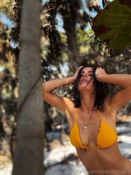 Leahwbrooke エロティックなポルノスター 写真