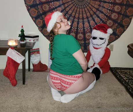 Imgingersnap トップスター 写真