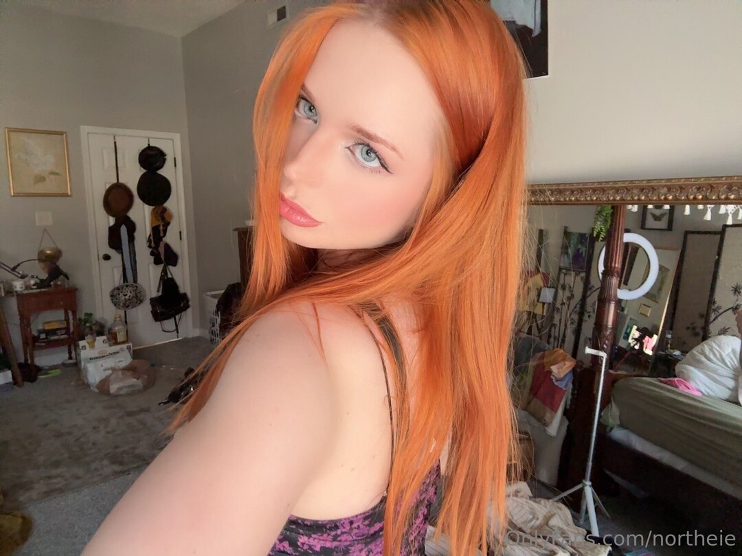 Northeie 完璧なポルノスター 画像