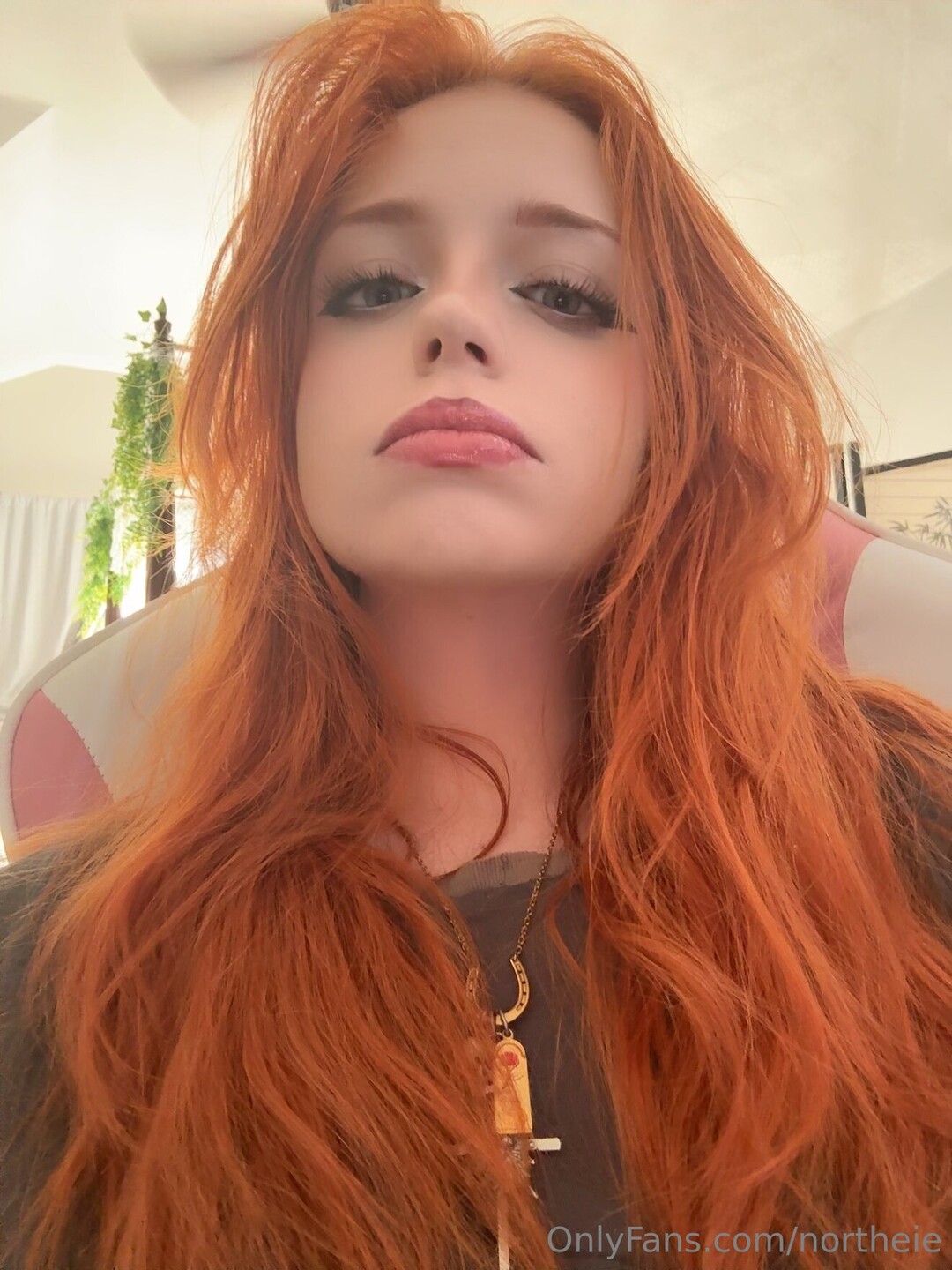 Northeie ポルノモデル ギャラリー