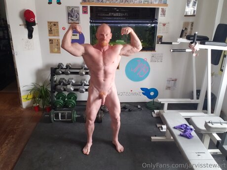 Jarvisstewart トップスター 画像