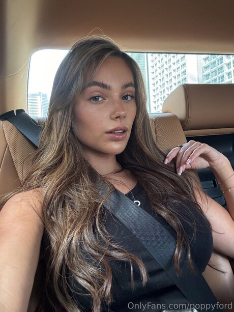 Poppyford ホットスター 写真