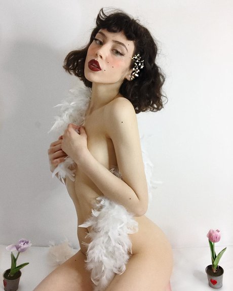 Mina Bell セクシーなスター 画像