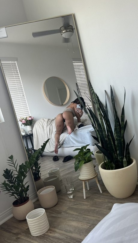 Uhhlia 美しいスター 写真