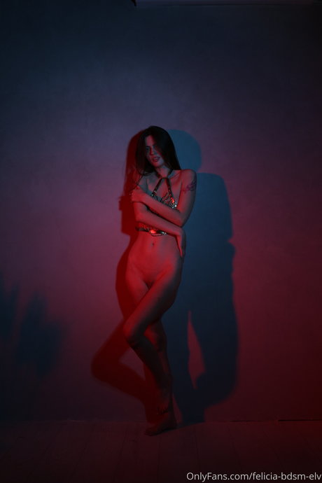 Felicia vina トップ女優 写真