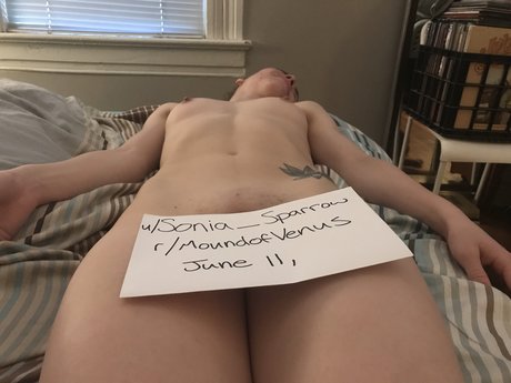 Sonia sparrow トップモデル 画像