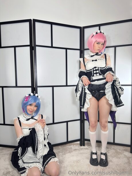 Sushibunniii HDモデル アーカイブ