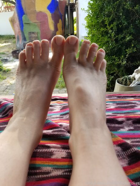 Blondie Blooms ポルノモデル 写真