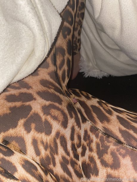 Melody Haase かわいいスター 写真