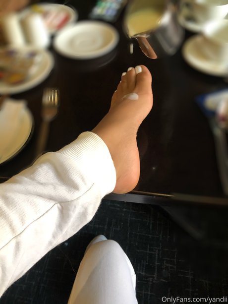 Yandii ヌードモデル 写真