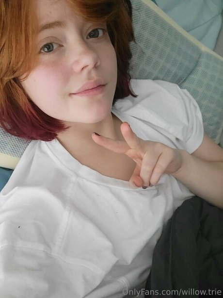 Willow Trie 高品質女優 画像