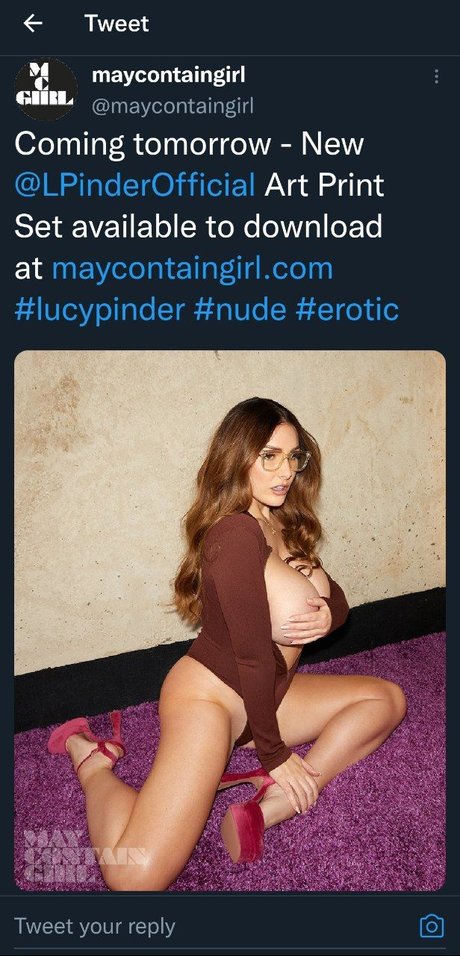 Lucy Pinder xxxモデル 画像