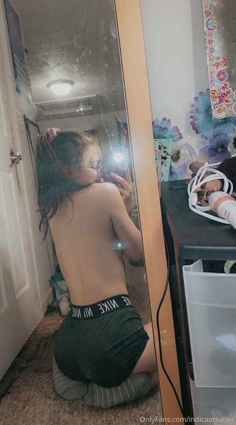 Indicaorsativa 素敵なスター 写真