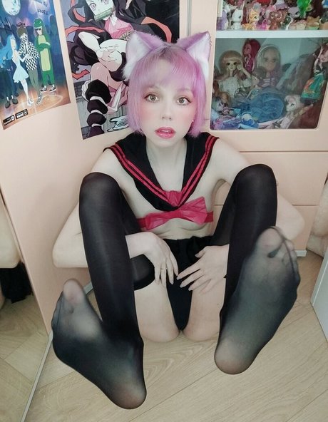 Zephyr Cat 独占スター 写真