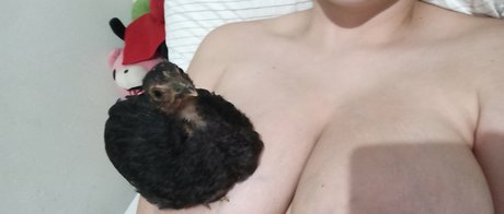 Alinorac ホットなポルノスター 写真