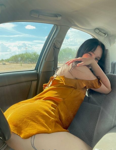 luvandleo 美しいスター 写真