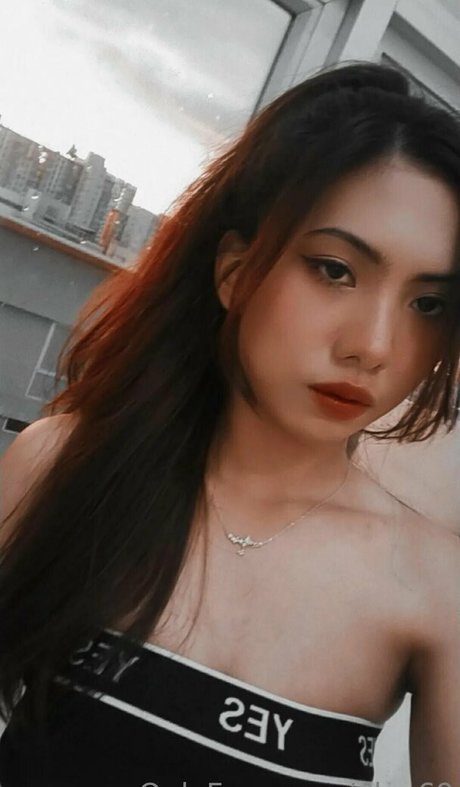 ploy69 トップスター 写真