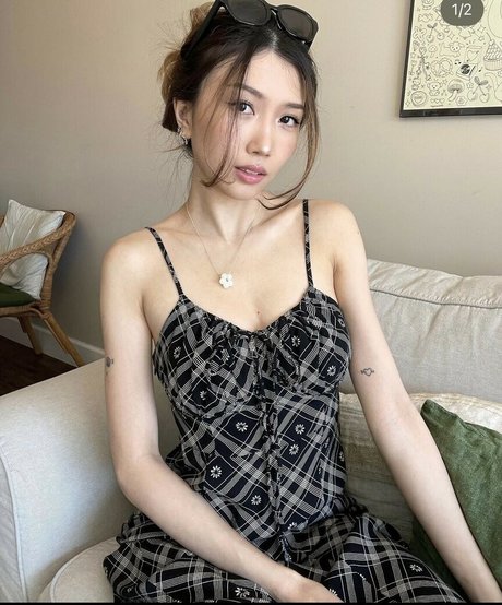 clararline アートスター 写真