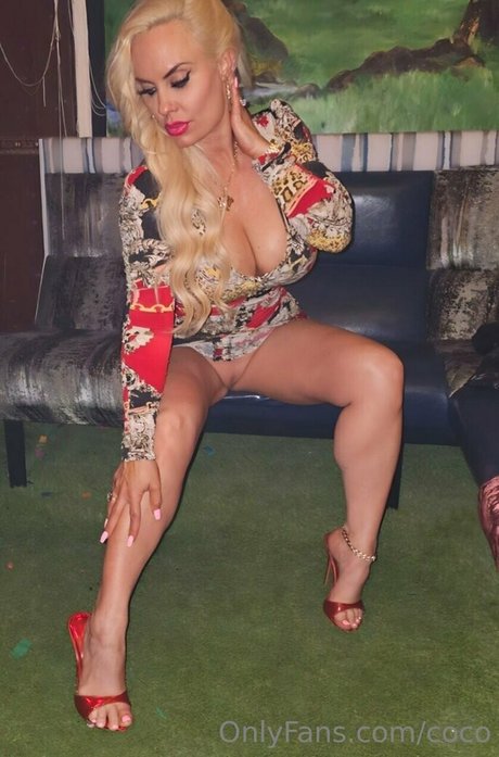 Nicole Coco Austin アート女優 画像