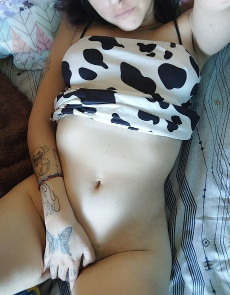 LilR4v3n4 無料のスター 写真