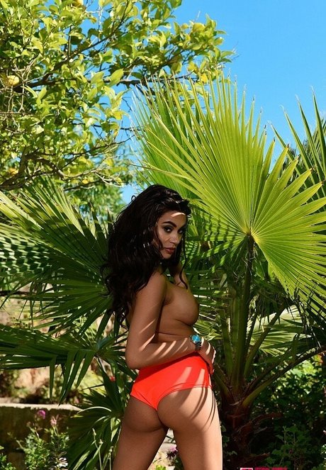 Olivia Berzinc 限定モデル 写真