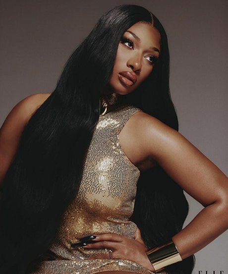 Megan Thee Stallion HDモデル ギャラリー
