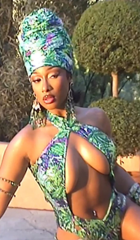Megan Thee Stallion スター 裸 写真