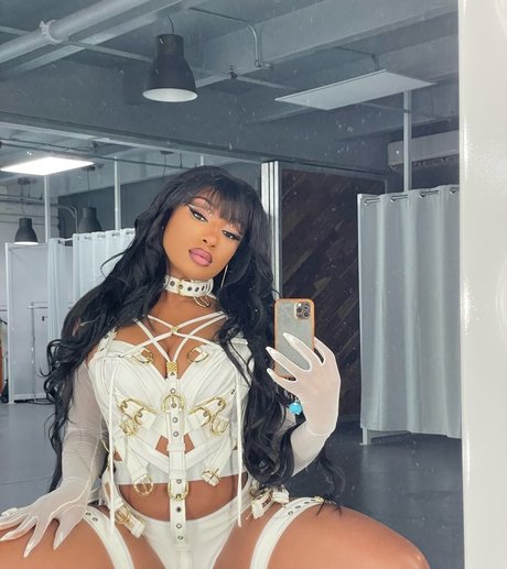 Megan Thee Stallion アート女優 写真