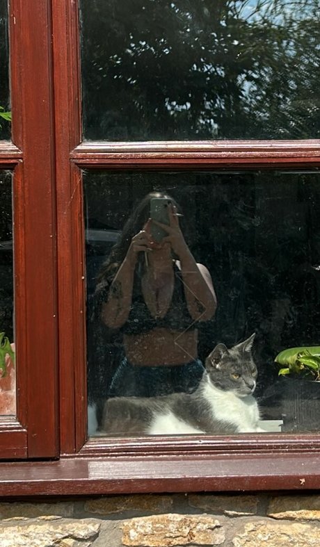 OnlyFansでチャット ポルノ 写真