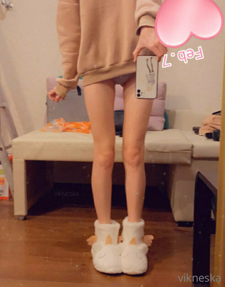 vikneskafree HD女優 写真