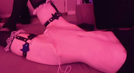 krypt cat セクシー女優 写真