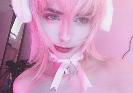 krypt cat 高品質モデル ギャラリー