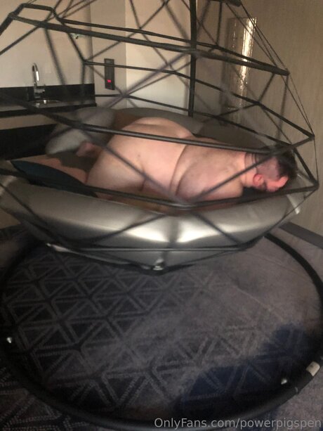 Powerpigspen ホットモデル 写真