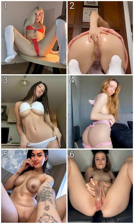 Nimu Official セクシーなスター 写真