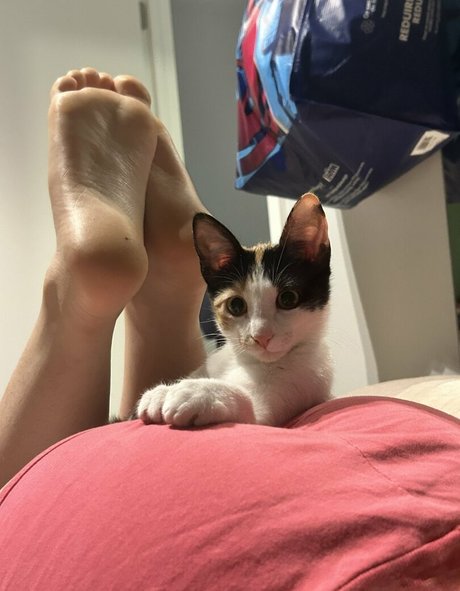 太ったオンリーファンズ 美しい裸 画像