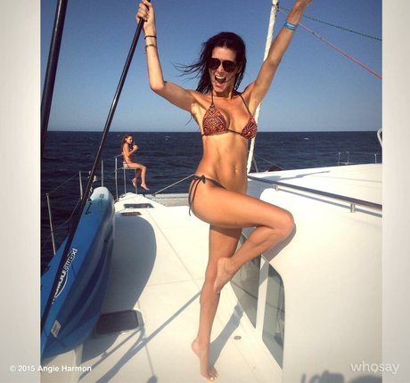 Angie Harmon ヌードのポルノスター 写真
