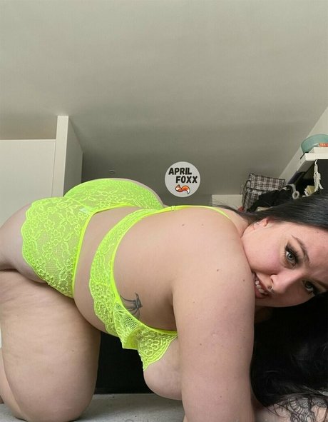 aprilfoxxxx かわいいスター 写真