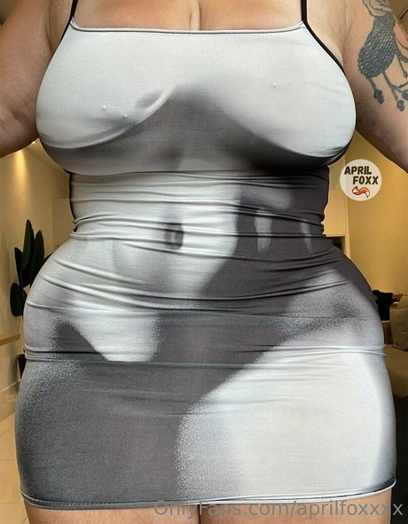 aprilfoxxxx 限定スター 画像