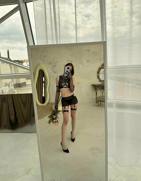 vulgar nun 無料のスター 写真