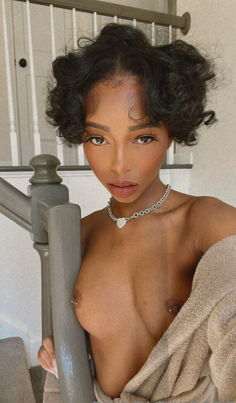 Briabackwoods ホットスター 写真