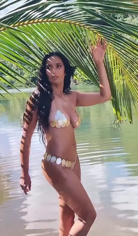 Padma Lakshmi トップスター ギャラリー